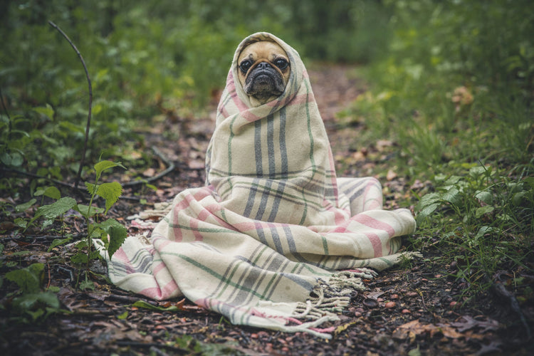 Rest & Relaxation